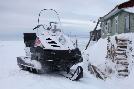 Снегоход РУССКАЯ МЕХАНИКА Буран 4ТД, фото 5