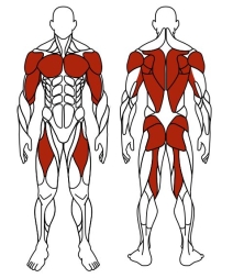 Двойные лыжи (зеленый) - Уличный тренажер - СТ 009-12.И1, фото 6 Двойные лыжи (зеленый) - Уличный тренажер - СТ 009-12.И1, фото 6
