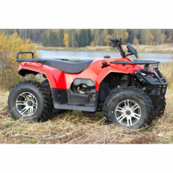Квадроцикл IRBIS ATV 250, фото 4