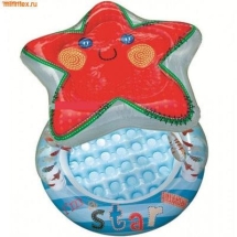 Надувной бассейн Intex 57428 "Звезда с навесом" 102х89 см