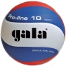 Изображение товара Волейбольный мяч Gala PRO-LINE BV5121S