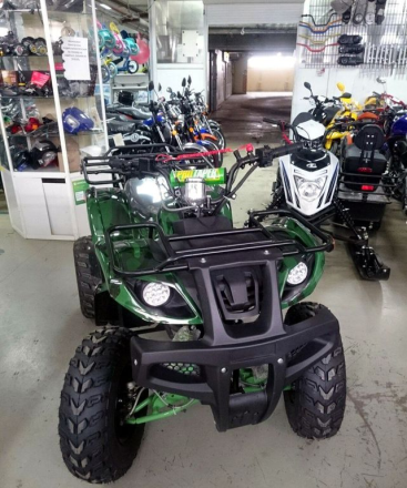 Квадроцикл ATV Avenger Evo, фото 3