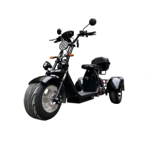 Электроскутер Citycoco WS-PRO Trike 2000w 20Ah (черный) Электроскутер Citycoco WS-PRO Trike 2000w 20Ah (черный)