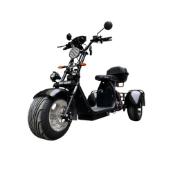 Электроскутер Citycoco WS-PRO Trike 2000w 20Ah (черный)