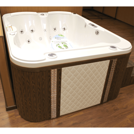 Гидромассажный спа-бассейн Радомир Мишель (чаша белая, комплектация Platinum), фото 3