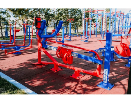 Гребная тяга S306, фото 2