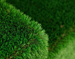 Топиари Диван - газон Deluxe, фото 7