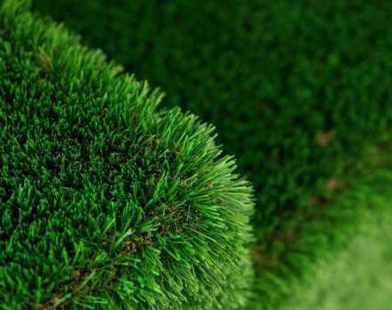 Топиари Диван - газон Deluxe, фото 7