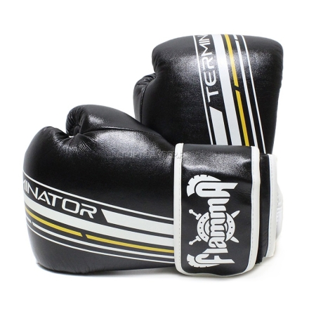 Перчатки боксерские FLAMMA TERMINATOR, фото 1