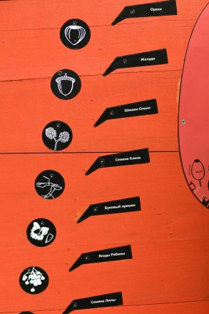 Природные парки: Плоды и семена, фото 2