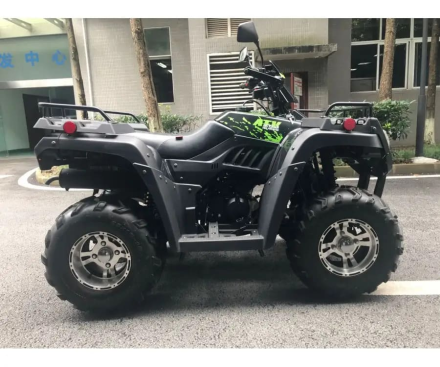 Квадроцикл RATO RT 250 ST LD, фото 6