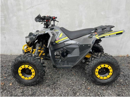 Квадроцикл FXMOTO Tank 125, фото 2
