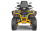 Квадроцикл СТЕЛС ATV 800 Guepard Trophy EPS CVTech (ПСМ)