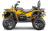 Квадроцикл СТЕЛС ATV 800 Guepard Trophy EPS CVTech (ПСМ)
