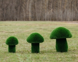 Топиари Гриб белый, размер S - газон Eco, фото 8
