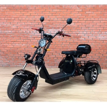 Трехколесный электроскутер Citycoco Trike GT X11 Трехколесный электроскутер Citycoco Trike GT X11