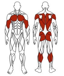 Эллиптический (зеленый) - Уличный тренажер - СТ 010-12.И2, фото 6