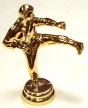 Фигурка на кубок ТХЭКВОНДО
