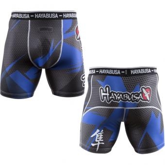 Шорты Hayabusa hayshorts057, фото 2