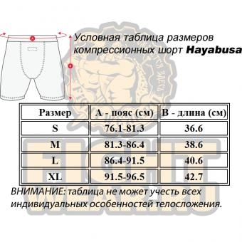 Шорты Hayabusa hayshorts057, фото 3