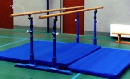 Брусья мужские никелированные с деревянными жердями, фото 1