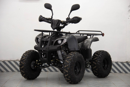 Квадроцикл UNIVERSAL ATV 125 TM Classic, фото 2