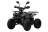 Квадроцикл UNIVERSAL ATV 125 TM Classic