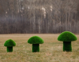 Топиари Гриб белый, размер S - газон Premium, фото 2