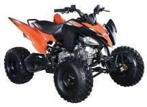 Квадроцикл ABM Scorpion 125M Квадроцикл ABM Scorpion 125M