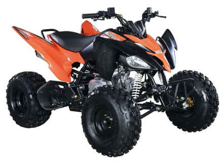 Квадроцикл ABM Scorpion 125M, фото 3