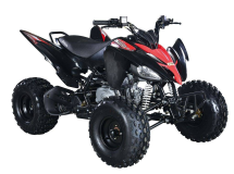 Квадроцикл ABM Scorpion 125M Квадроцикл ABM Scorpion 125M