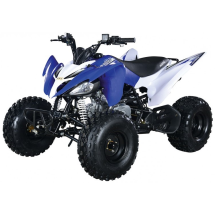 Квадроцикл ABM Scorpion 125M Квадроцикл ABM Scorpion 125M