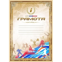 Грамота спортивная 1 место, формат А4, картон