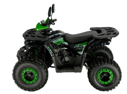 Квадроцикл AVANTIS Classic 8 New lux, фото 2