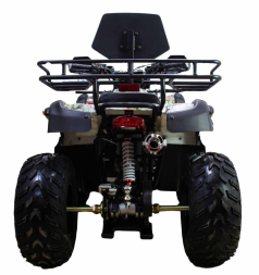 Квадроцикл ATV Classic 200 Premium, фото 4