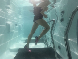 СПА бассейн с беговой дорожкой JNJ Spas Treadmill SPA-8368, фото 5